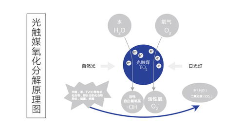 專業(yè)空氣凈化，科萊環(huán)保為您的健康保駕護(hù)航——上門除甲醛與異味工程技術(shù)服務(wù)詳解
